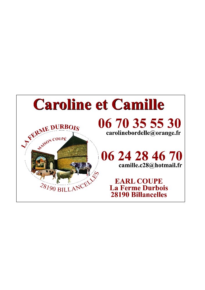 Aire camping-car  Billancelles (28190) - Photo 3